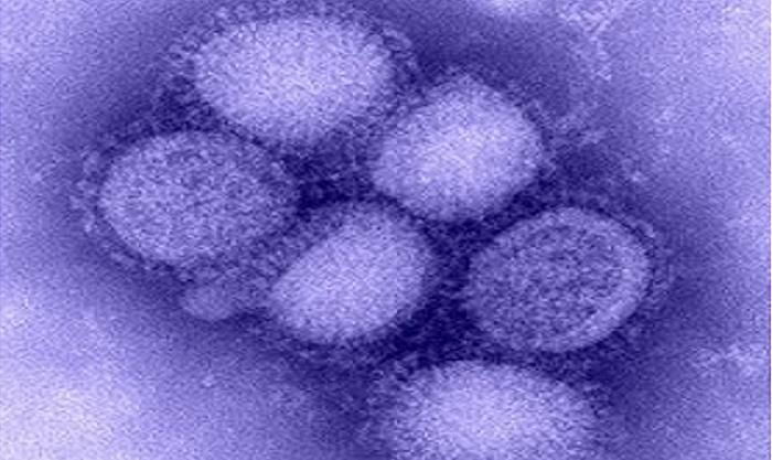 Pielęgniarka chora na świńską grypę