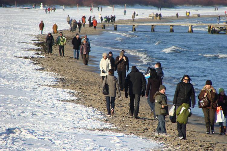 Nie dokarmiać łabędzi. O co chodzi przyrodnikom?