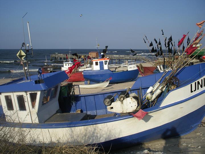 Sprzedaż ryb tylko w pięciu portach