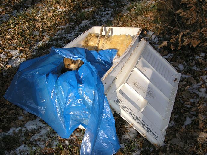 Policja szuka zwyrodnialca