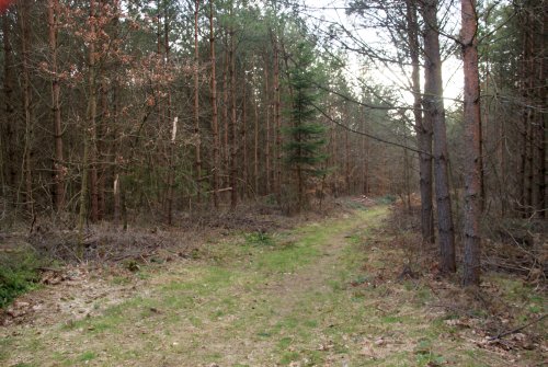 Zagrożenie pożarowe