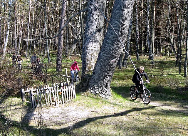 Trzeba przenieść grób niemieckich lotników