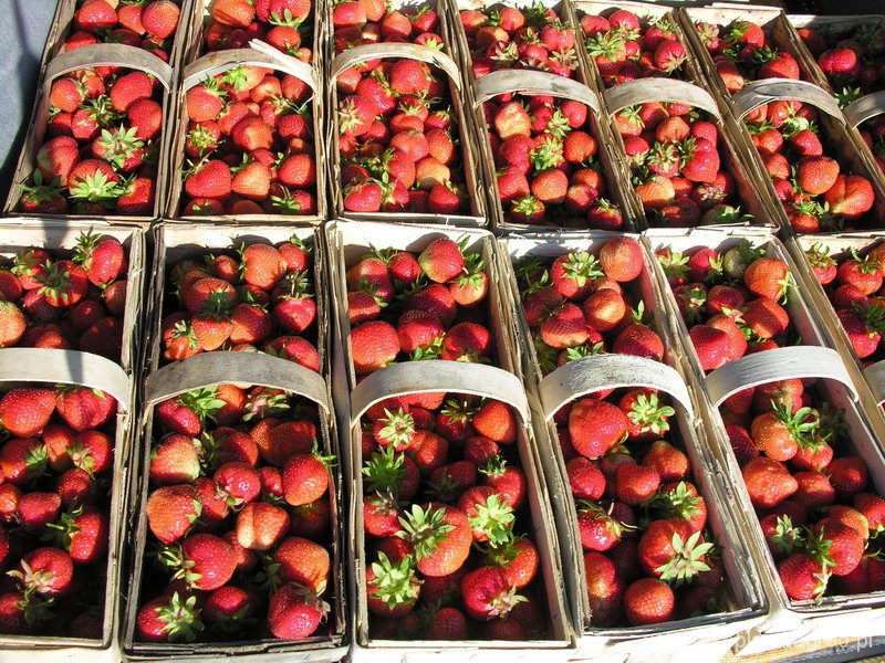 Nasze truskawki na unijnych stołach