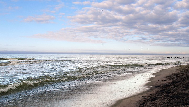 Bałtyk jest coraz mniej słony