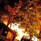 pozar-leba-grod-wiktorii_15