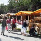 zlot-zaglowcow-gdynia-03