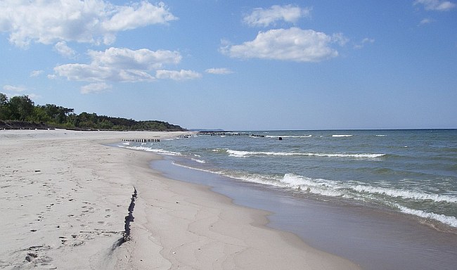 Bałtyk też może… być pełen ryb. Kampania ekologów