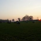 hubertus-runowo-08