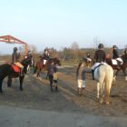 hubertus-runowo-12