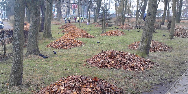 Jesienne porządki w lęborskich parkach