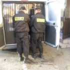 Lebork_pozar_komendy4