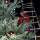 leba-ubieranie-choinki-02