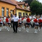 orkiestra_pstronga