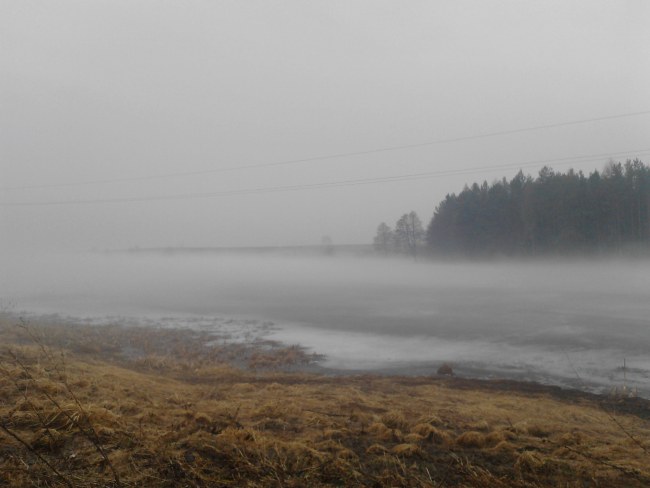 Tragedia w gminie Potęgowo. Utonął mężczyzna