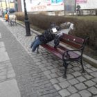wiosna-lebork-02