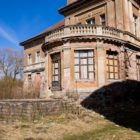 zdrzewno-2012-02