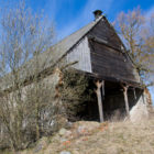 zdrzewno-2012-09
