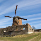 zdrzewno-2012-14