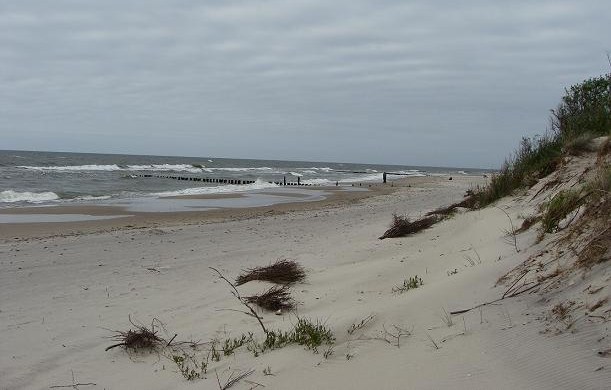 Morze wyrzuca na plażę tajemniczą substancję