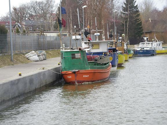 Rybacy: dorsze są zbyt tanie