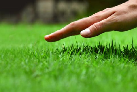 Wymieniają murawę na EURO 2012