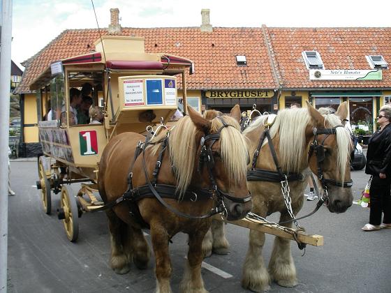 Łabędzi zakątek. Niezwykłe miasto na pobliskiej wyspie