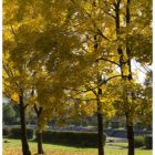 jesien-lebork-lukaszuk-01