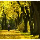 jesien-lebork-lukaszuk-04