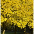 jesien-lebork-lukaszuk-05