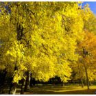 jesien-lebork-lukaszuk-06