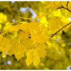 jesien-lebork-lukaszuk-07