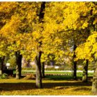 jesien-lebork-lukaszuk-09