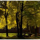 jesien-lebork-lukaszuk-10