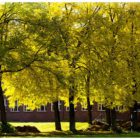 jesien-lebork-lukaszuk-11