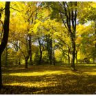 jesien-lebork-lukaszuk-13