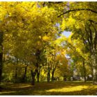 jesien-lebork-lukaszuk-14