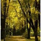 jesien-lebork-lukaszuk-15