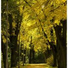 jesien-lebork-lukaszuk-16