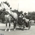 arabeska-04