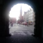 choinka-gdansk-01