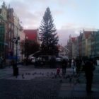 choinka-gdansk-05