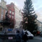 choinka-gdansk-07