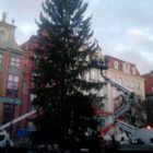 choinka-gdansk-08
