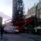 choinka-gdansk-11