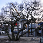 63046_filebig