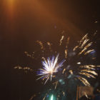 SONY DSC
