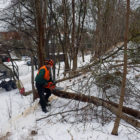 428265_527332257300163_96826172_n