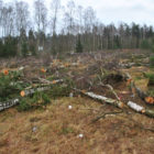 521756_528917957141593_2089846484_n