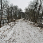 528862_523690910997631_1649250933_n