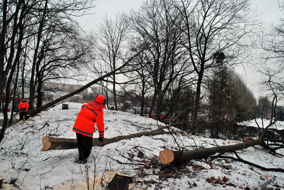 Wyburzenia i wycinka na trasie PKM. Ściętych będzie 20 tys. drzew